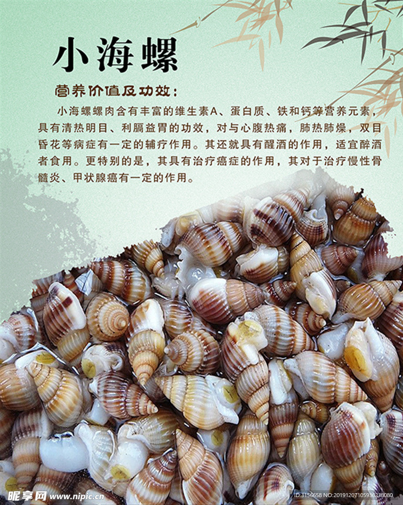 海螺灯箱片