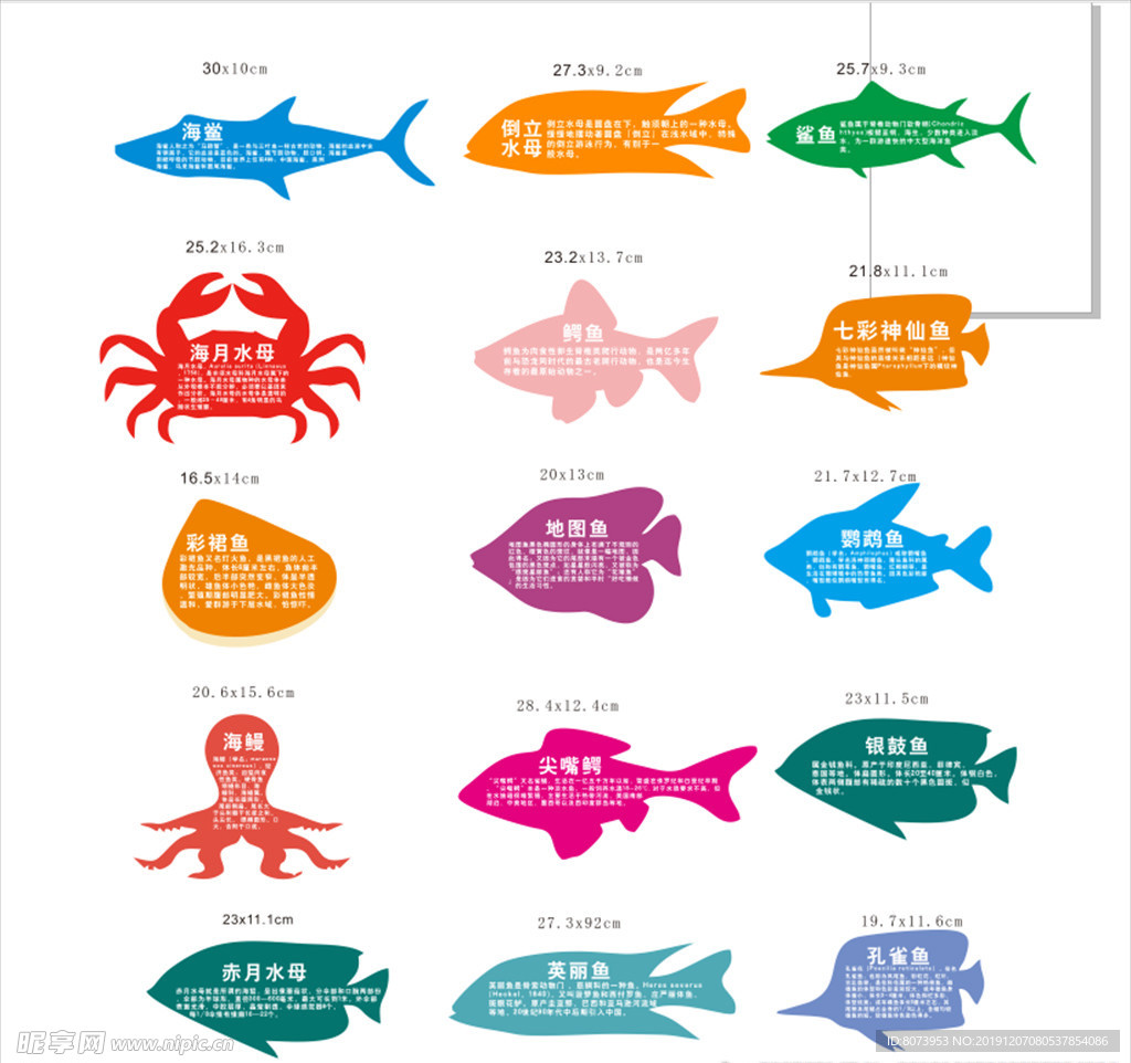 海鲜鱼标签简介