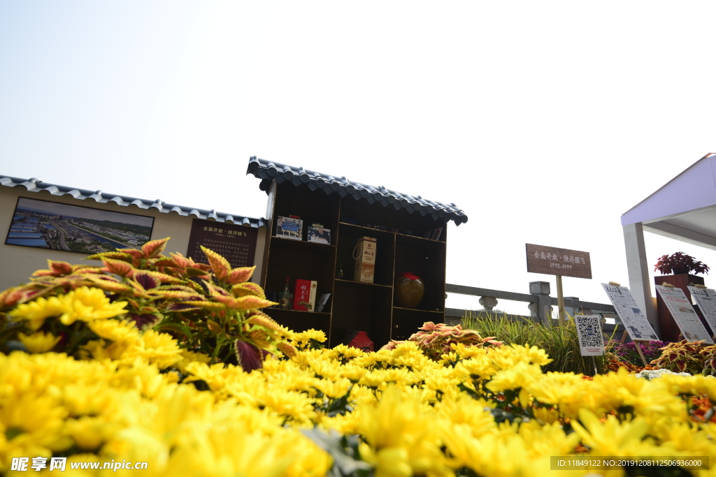 菊展布景