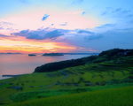 夕阳绿野照片