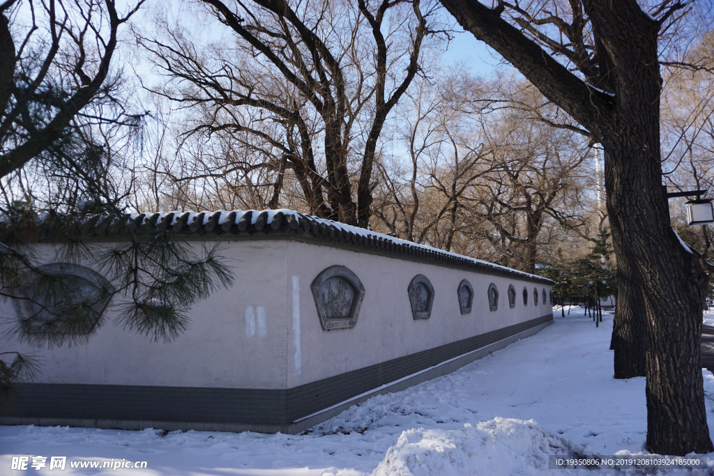 沈阳北陵公园雪后的树和墙