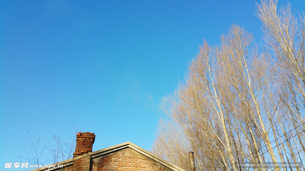 冬天农村蓝天下的房子和树