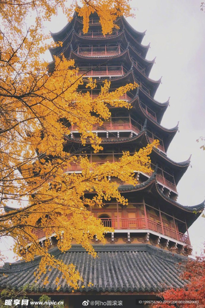 塔