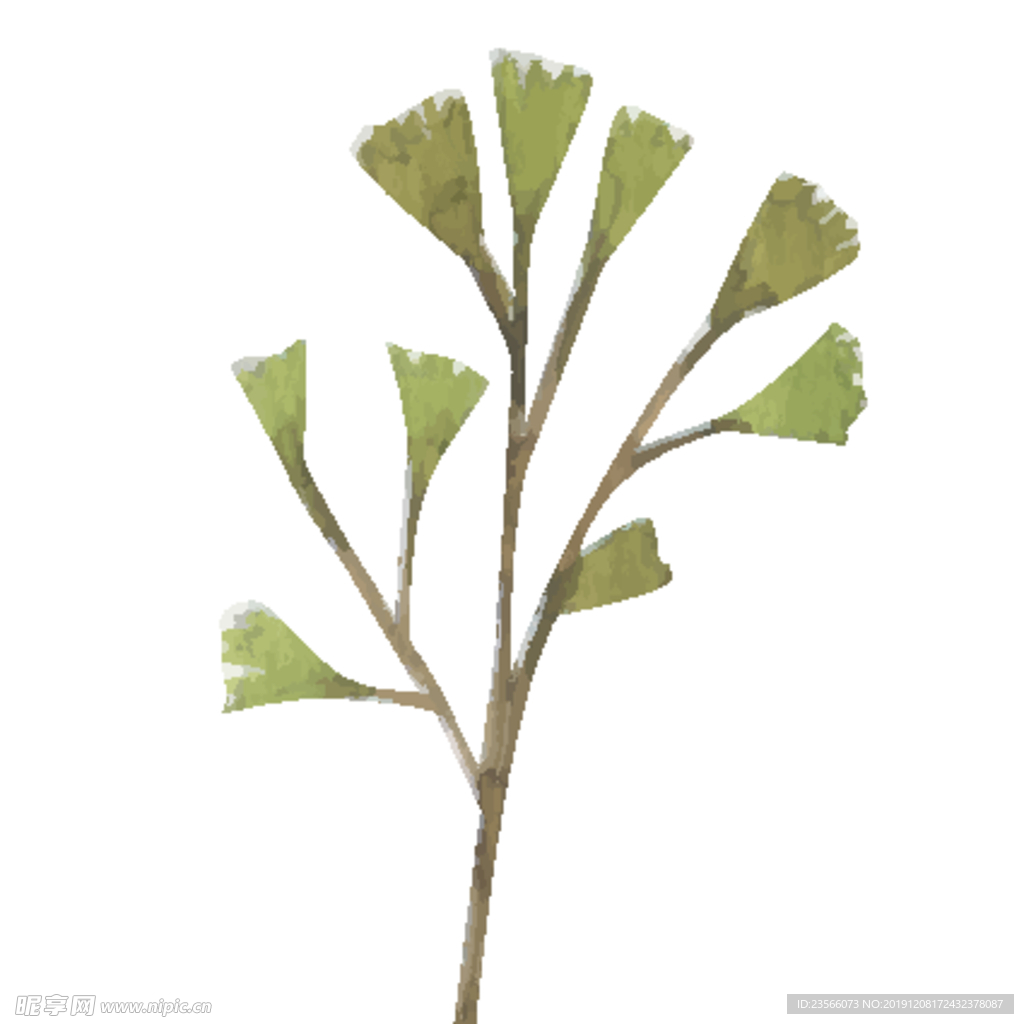 绿色水彩植物树叶