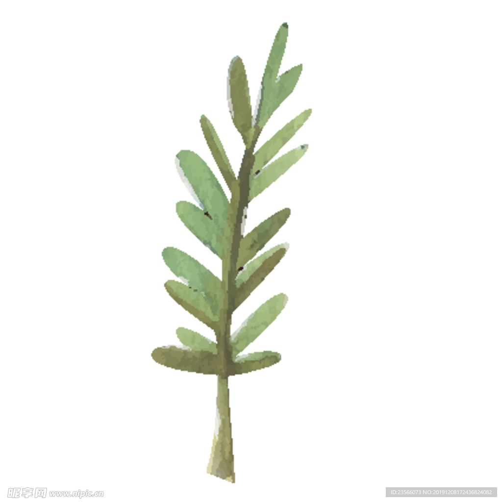 绿色水彩植物树叶