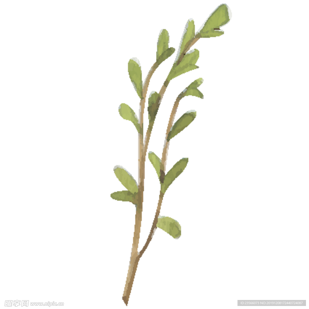 绿色水彩植物树叶