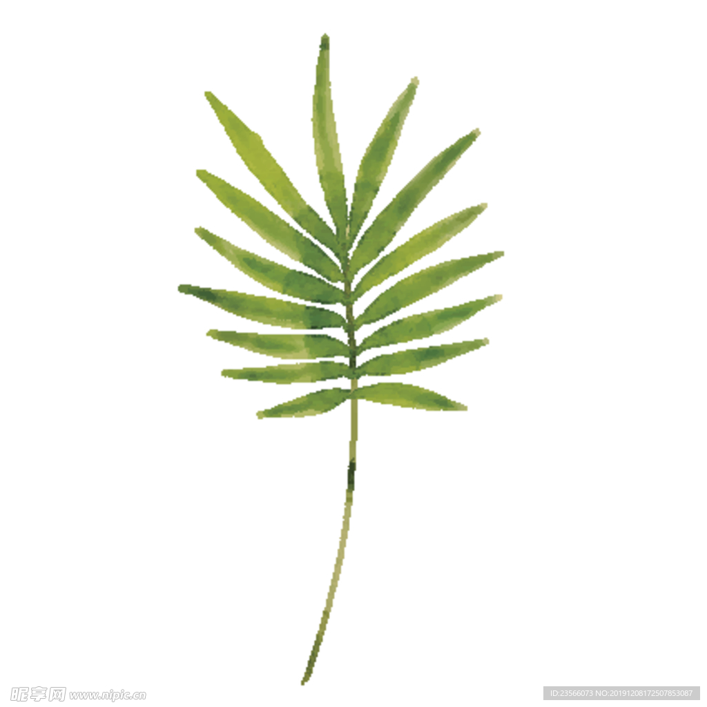 绿色水彩植物树叶