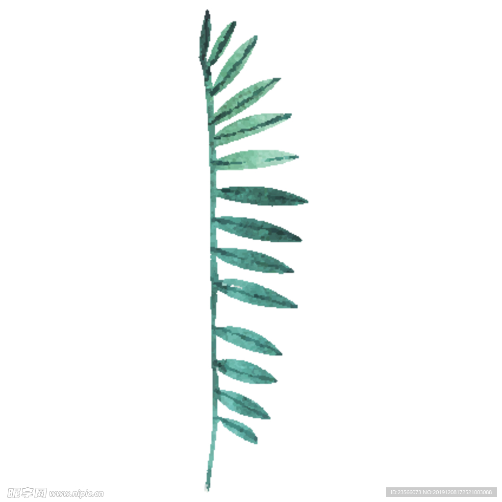 绿色水彩植物树叶