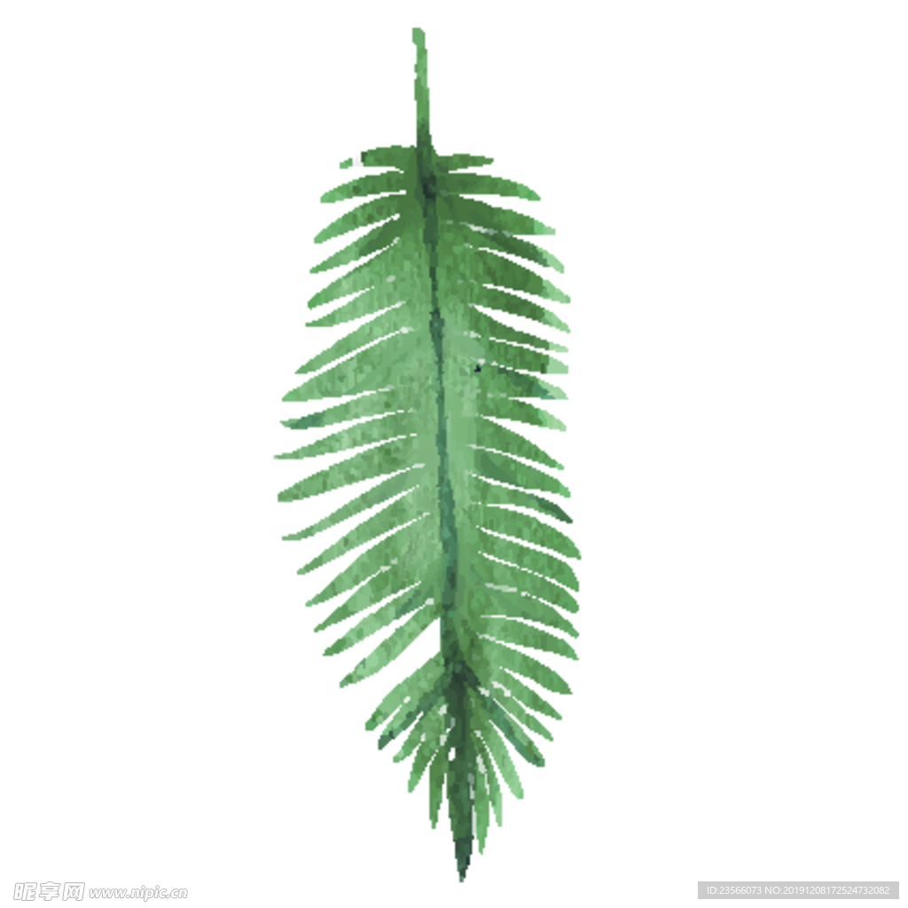 绿色水彩植物树叶