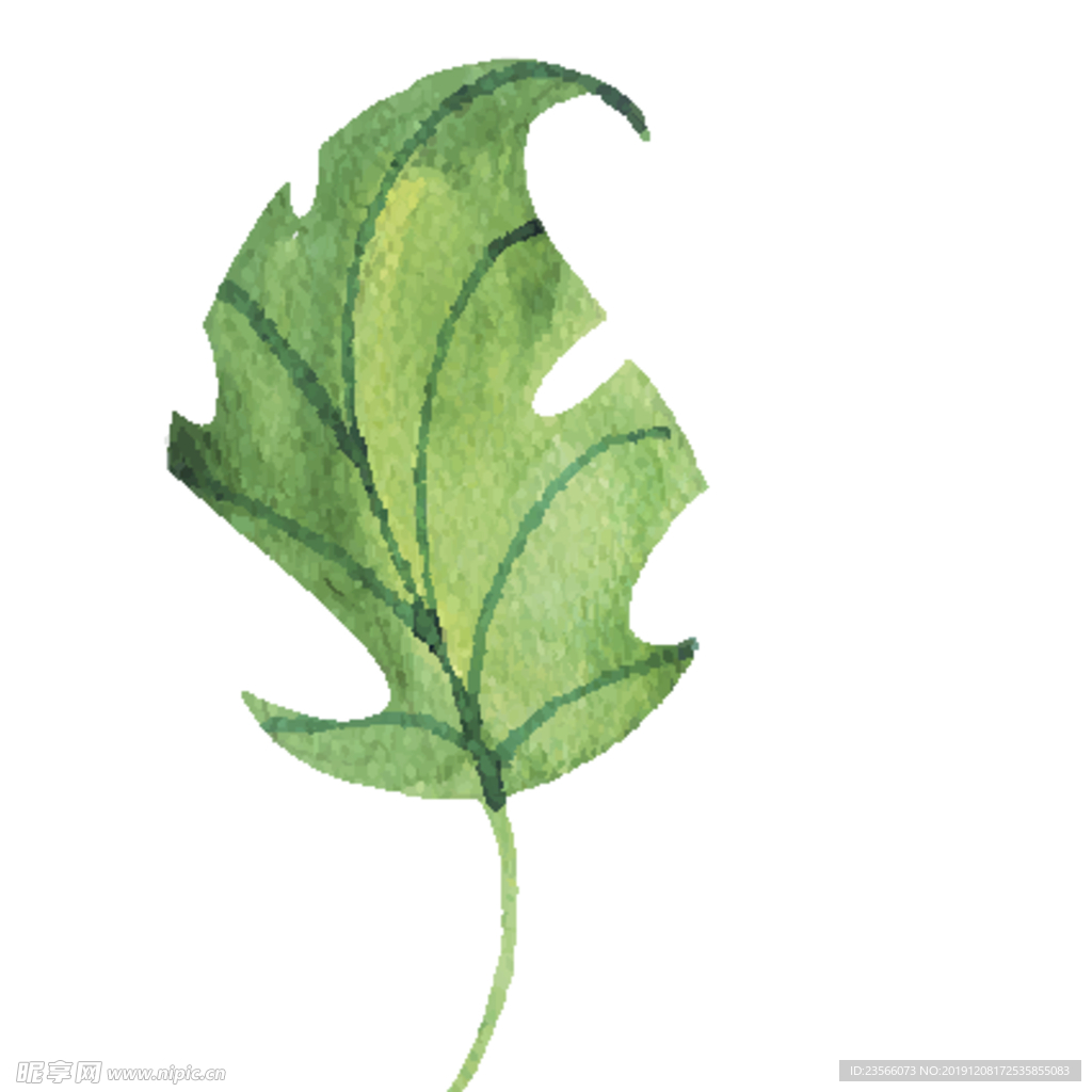 绿色水彩植物树叶