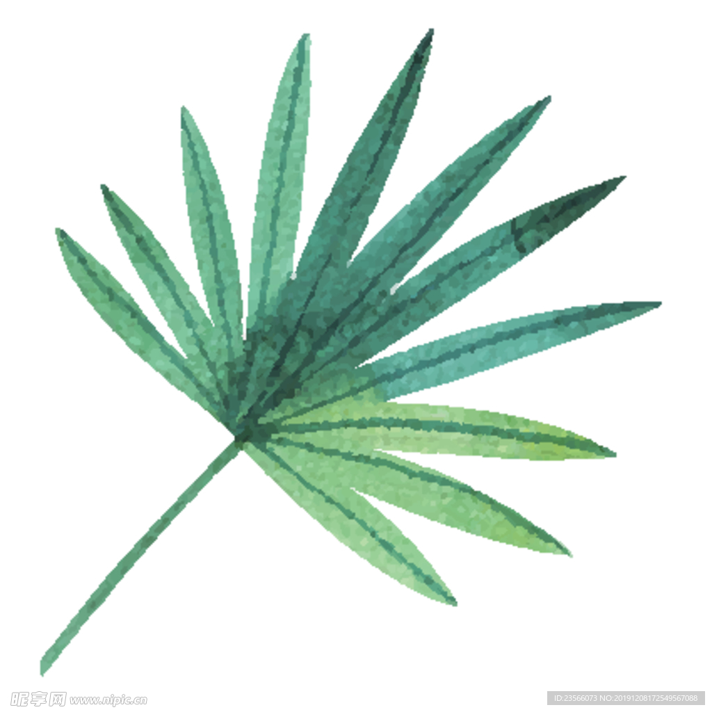 绿色水彩植物树叶