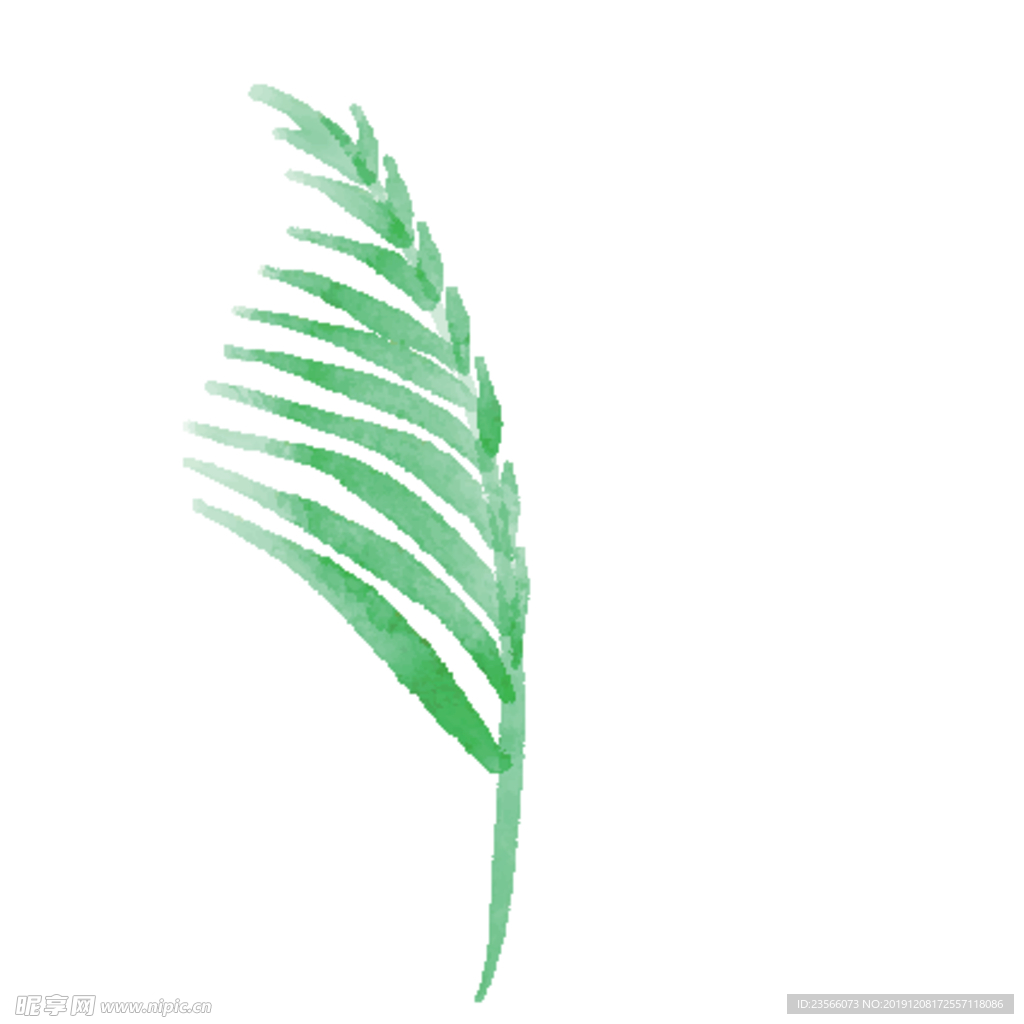 绿色水彩植物树叶
