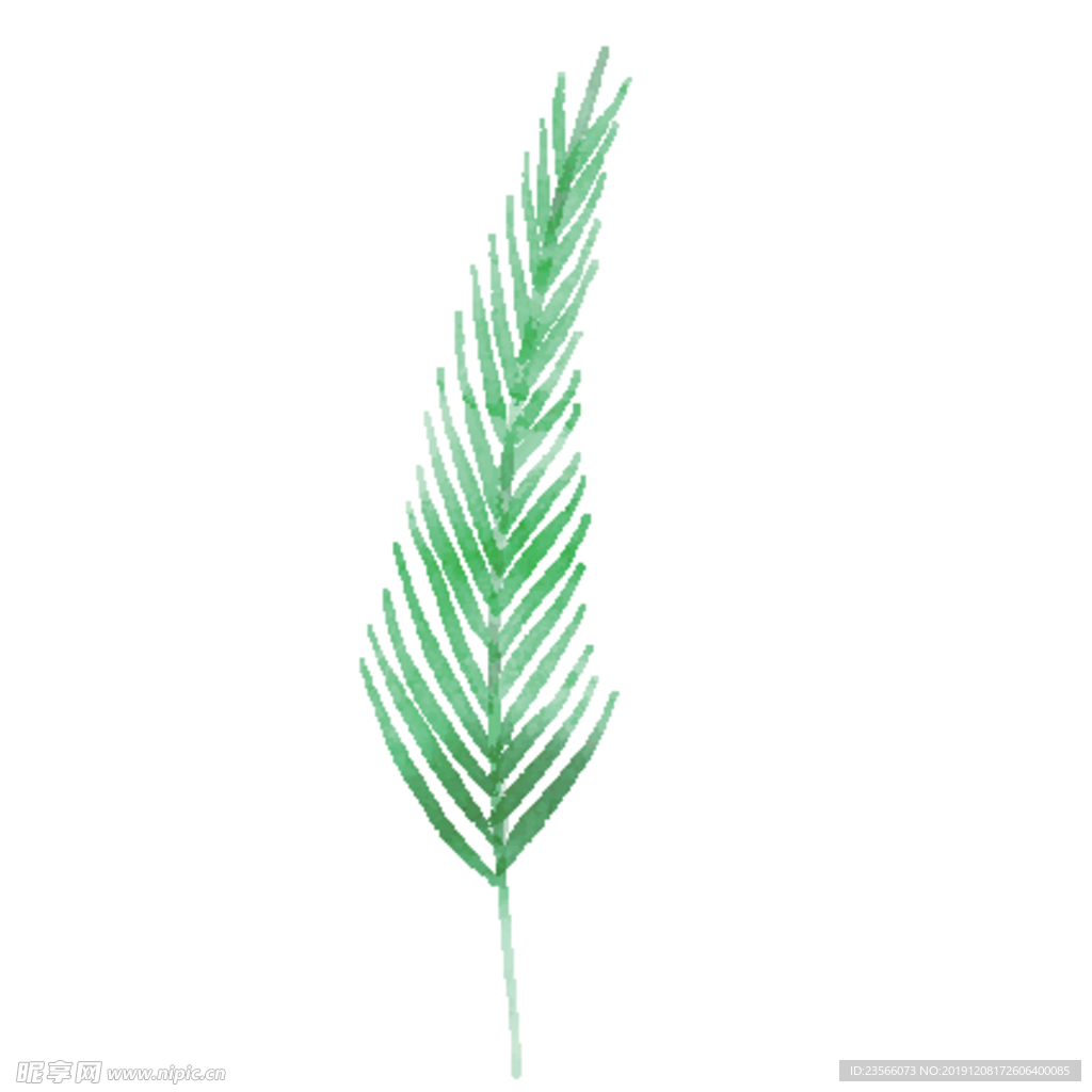 绿色水彩植物树叶