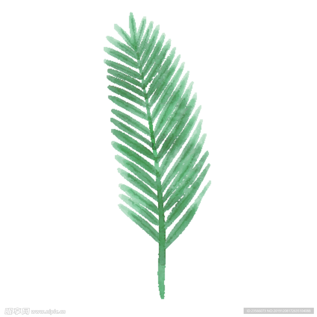绿色水彩植物树叶