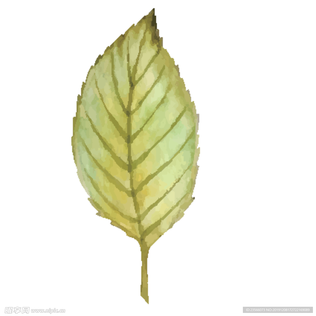 绿色水彩植物树叶