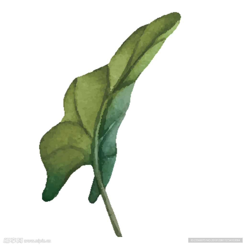 绿色水彩植物树叶