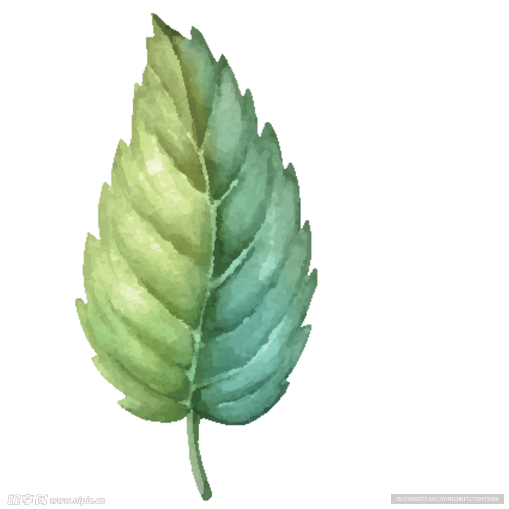 绿色水彩植物树叶
