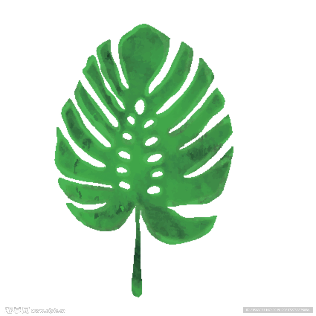 绿色水彩植物树叶