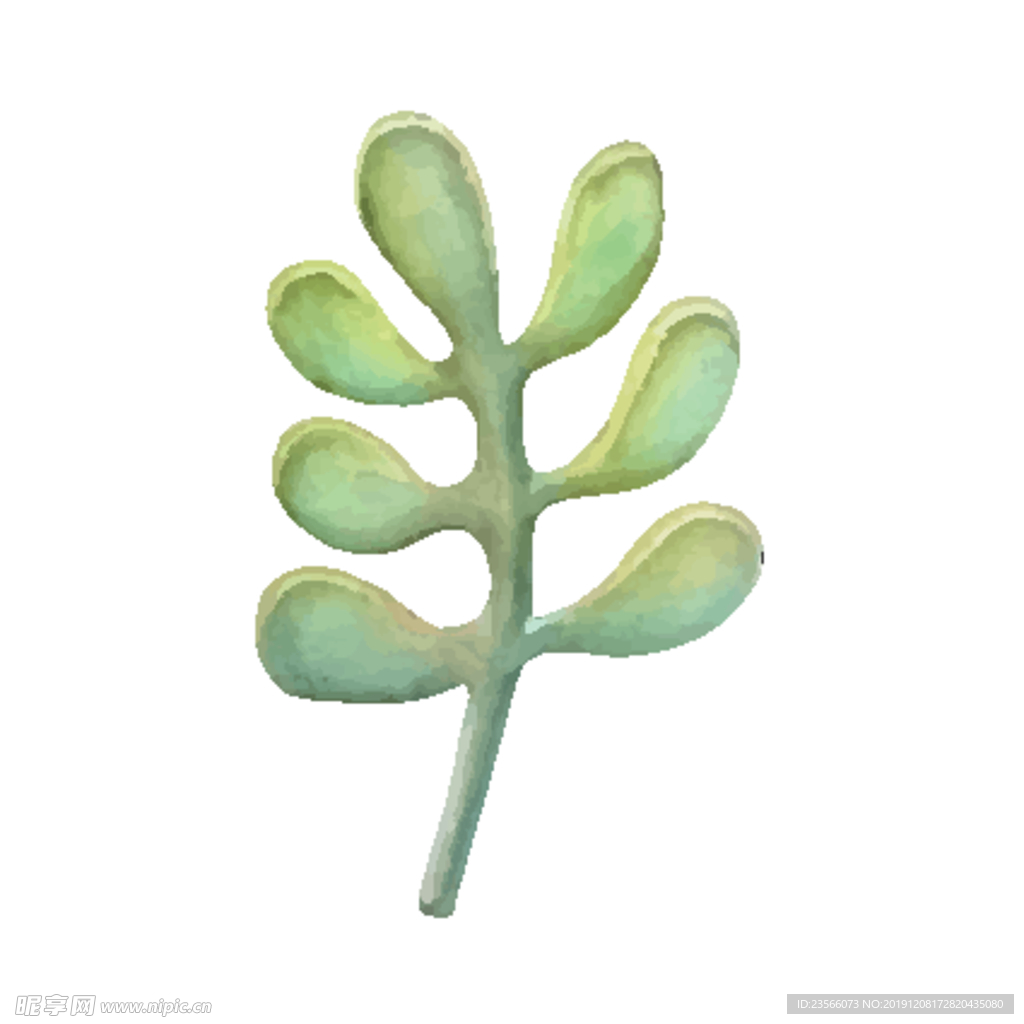 绿色水彩植物树叶