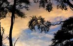 天空