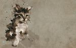 小猫