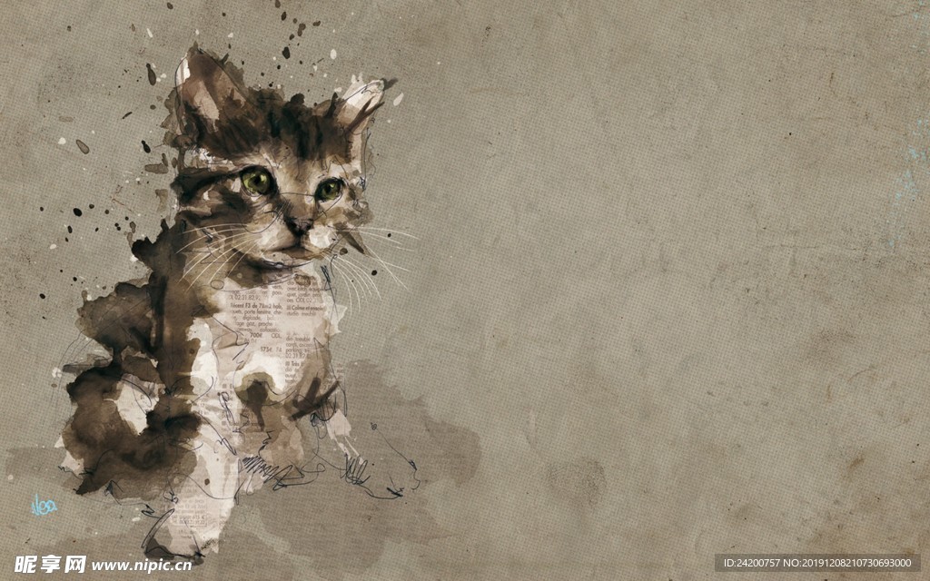 小猫