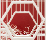 壁纸