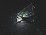 壁纸