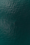海水