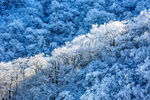 雾凇冬天自然雪景