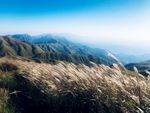 高山
