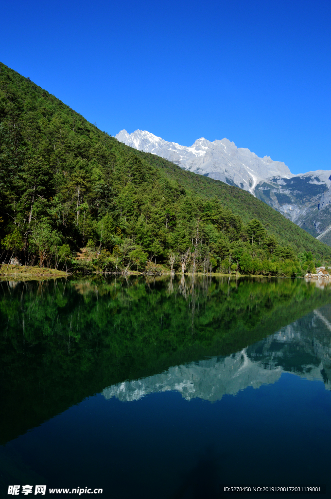 山林