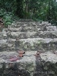 山路石阶