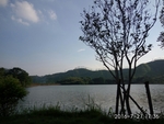 湖边
