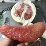 柚子