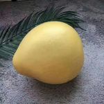 柚子