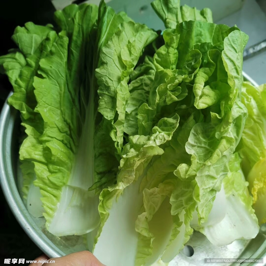 蔬菜 青菜