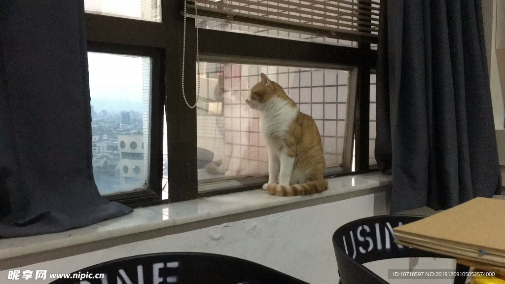 室内景观