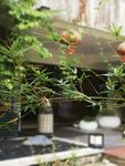 建筑摄影