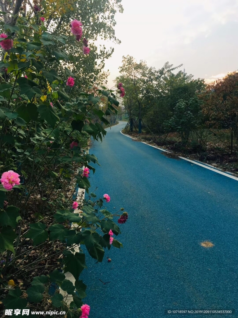 户外美景