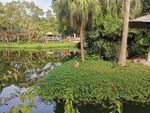 户外美景