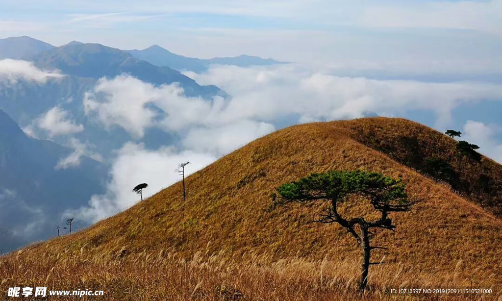 户外美景