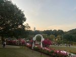 户外美景