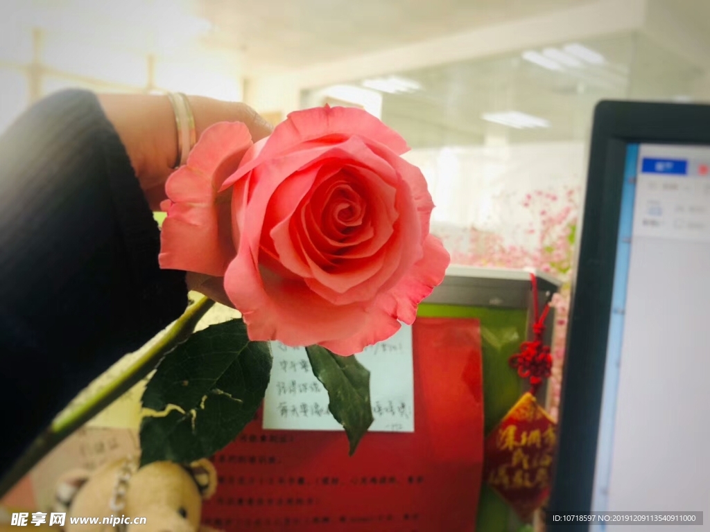 红花