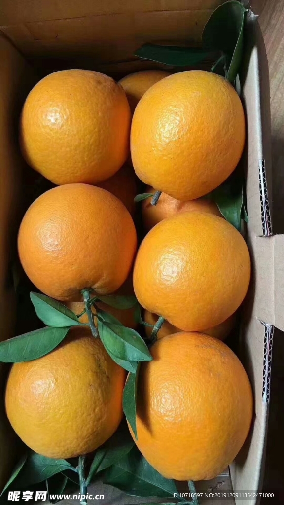 橙子
