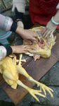 鸡肉