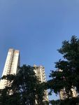 户外美景