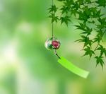 花卉