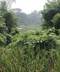 户外美景