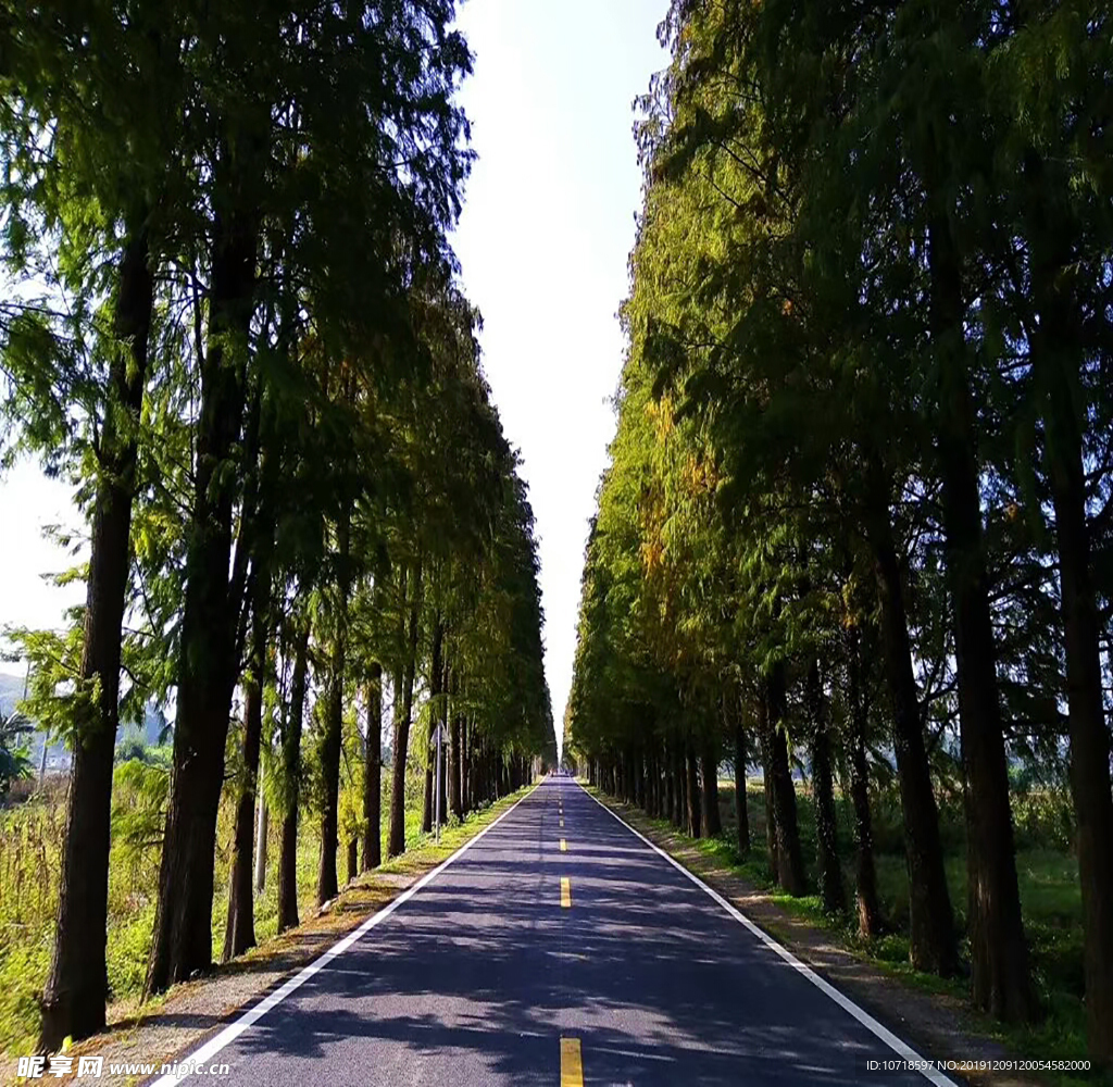 户外美景